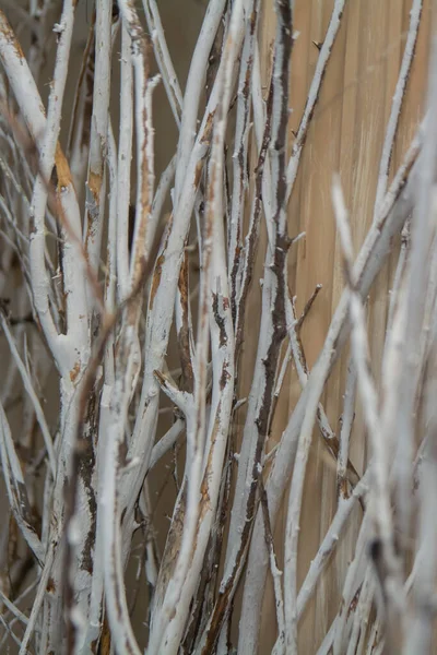 Orman şeklinde dekorasyonlar, ağaç dalları.