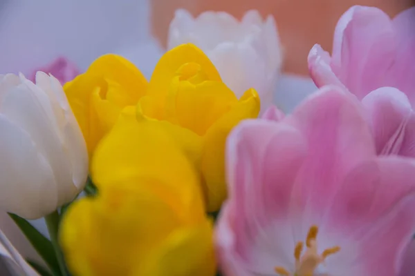 Voorjaarsboeket Van Veelkleurige Tulpen Selectieve Focus — Stockfoto