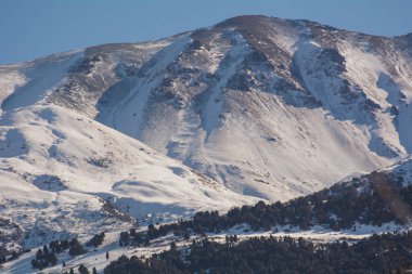 Ala-Archa ormanları Kırgızistan 'ı sardı.