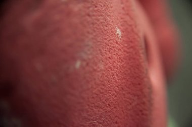 Makro atışta taş kanca, arkaplan dokusu görüntüsü