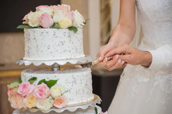 Gelin ve damat düğün pastasını kesiyorlar..