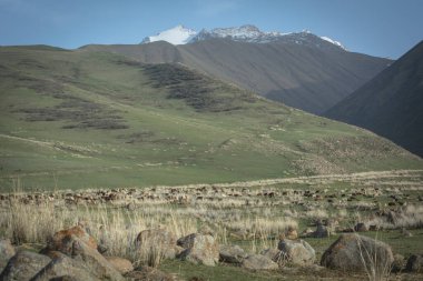 Dağ baharı manzarası, doğa Bishkek Kırgızistan
