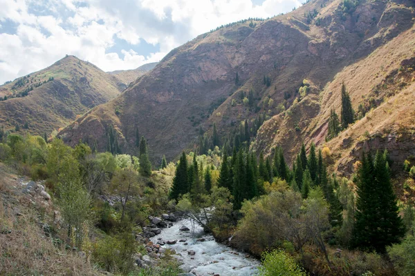 Kırgızistan 'ın Osh bölgesinde vadinin ortasındaki dağ nehri..