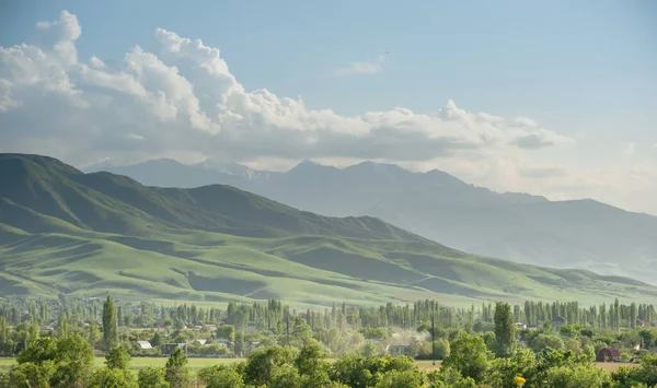 Montagne Printemps Paysage Nature Bichkek Kirghizistan — Photo