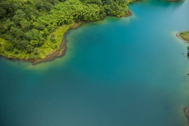 Brezilya 'da bir plajın havadan görünüşü 