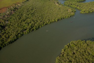 Brezilya 'da bir plajın havadan görünüşü 