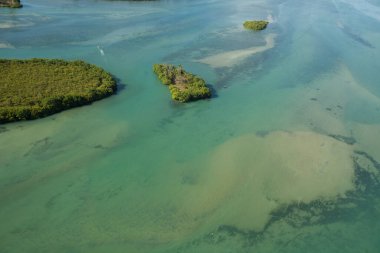 Brezilya 'da bir plajın havadan görünüşü 