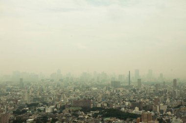 Gündüz vakti Tokyo Hava Manzarası. Yüksek kalite fotoğraf
