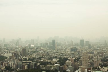 Gündüz vakti Tokyo Hava Manzarası. Yüksek kalite fotoğraf