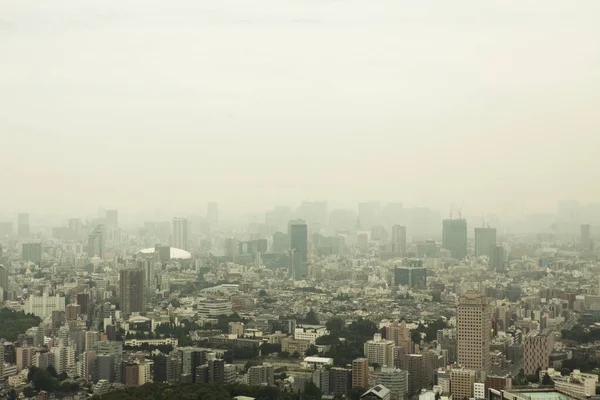 Tokio Luftaufnahme Bei Tag Hochwertiges Foto — Stockfoto