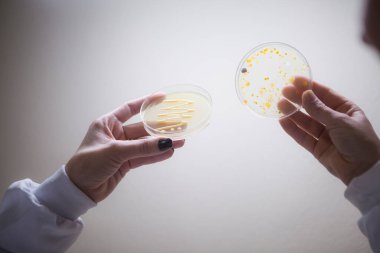 Üretim hattı ilaç endüstrisi. İlaç ve ilaç imalatı, ilaç. 