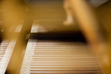 Çikolata üretim fabrikası - üretim hattı. Yüksek kalite fotoğraf çikolata üretim fabrikası - üretim hattı