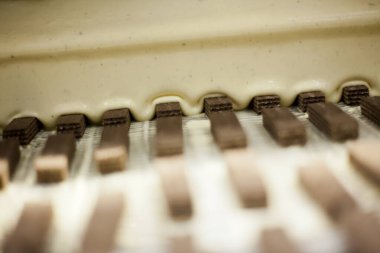 Çikolata üretim fabrikası - üretim hattı. Yüksek kalite fotoğraf çikolata üretim fabrikası - üretim hattı