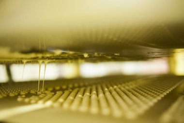 Çikolata üretim fabrikası - üretim hattı. Yüksek kalite fotoğraf. Erimiş Beyaz Çikolata