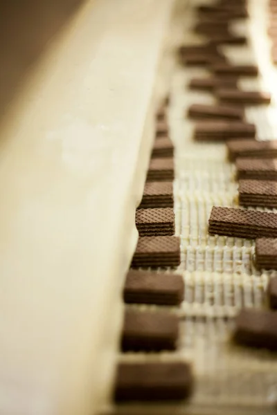 Fábrica Produção Chocolate Linha Produção Fábrica Produção Alta Qualidade Photochocolate — Fotografia de Stock