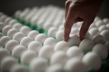 Yumurta kutusundaki çiğ tavuk yumurtalarını toplarken insan elinin yakın çekimi. Yüksek kalite fotoğraf