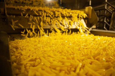 Patates fabrikasının üretim hattı. Patates kızartması - fast food.