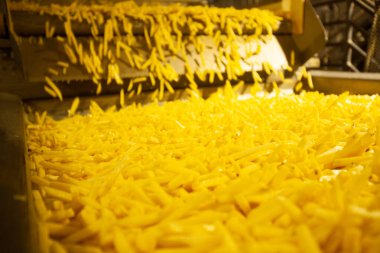 Patates fabrikasının üretim hattı. Patates kızartması - fast food.