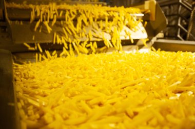 Patates fabrikasının üretim hattı. Patates kızartması - fast food.