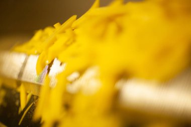 Patates fabrikasının üretim hattı. Patates kızartması - fast food.