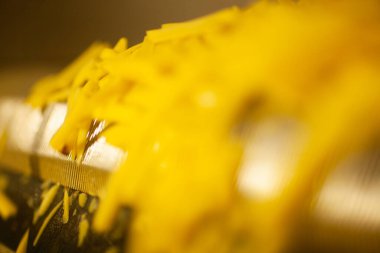 Patates fabrikasının üretim hattı. Patates kızartması - fast food.