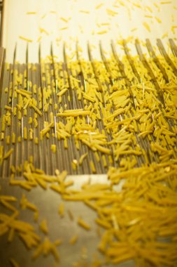 Patates fabrikasının üretim hattı. Patates kızartması - fast food.