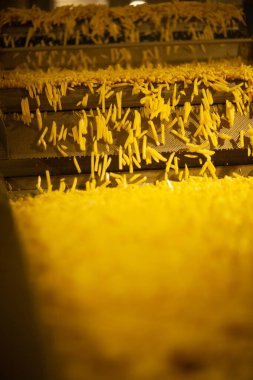 Patates fabrikasının üretim hattı. Patates kızartması - fast food.