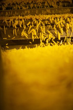 Patates fabrikasının üretim hattı. Patates kızartması - fast food.