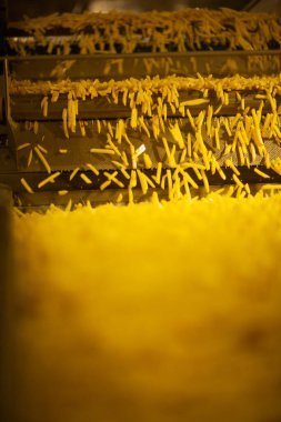 Patates fabrikasının üretim hattı. Patates kızartması - fast food.