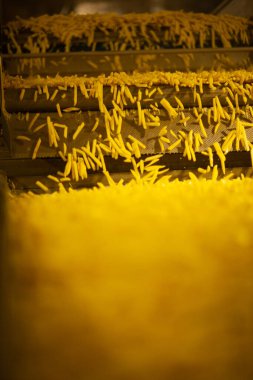 Patates fabrikasının üretim hattı. Patates kızartması - fast food.