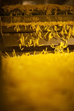 Patates fabrikasının üretim hattı. Patates kızartması - fast food.