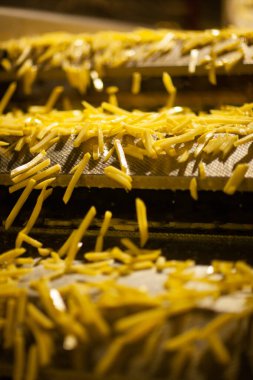Patates fabrikasının üretim hattı. Patates kızartması - fast food.