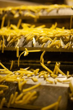 Patates fabrikasının üretim hattı. Patates kızartması - fast food.