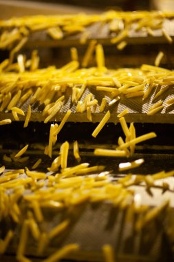 Patates fabrikasının üretim hattı. Patates kızartması - fast food.