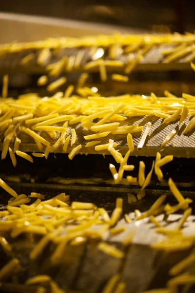 Linha Produção Uma Fábrica Batata Batatas Fritas Fast Food — Fotografia de Stock