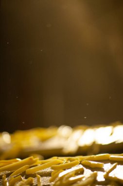 Patates fabrikasının üretim hattı. Patates kızartması - fast food.