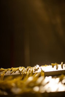 Patates fabrikasının üretim hattı. Patates kızartması - fast food.