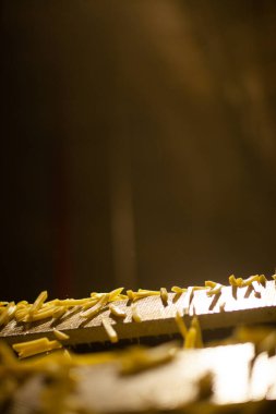 Patates fabrikasının üretim hattı. Patates kızartması - fast food.