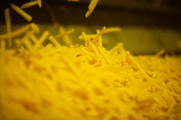 Patates Fabrikasının Üretim Hattı Patates Kızartması Fast Food — Stok fotoğraf