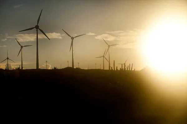 - Windimill Elektrik Santrali 'nde rüzgar türbini. Yüksek kalite fotoğraf