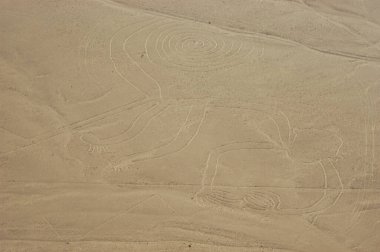 Nazca Çölü 'ndeki çizimler, Nazca çizgileri (Nazca çizgileri) - Peru. Yüksek kalite fotoğraf