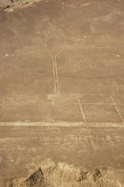 Nazca Çölü 'ndeki çizimler, Nazca çizgileri (Nazca çizgileri) - Peru. Yüksek kalite fotoğraf