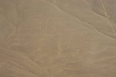 Nazca Çölü 'ndeki çizimler, Nazca çizgileri (Nazca çizgileri) - Peru. Yüksek kalite fotoğraf