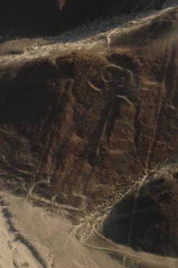 Nazca Çölü 'ndeki çizimler, Nazca çizgileri (Nazca çizgileri) - Peru. Yüksek kalite fotoğraf