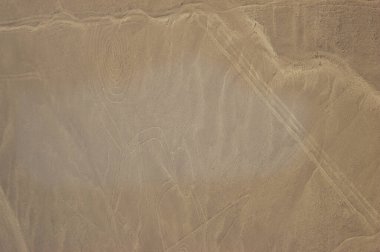 Nazca Çölü 'ndeki çizimler, Nazca çizgileri (Nazca çizgileri) - Peru. Yüksek kalite fotoğraf