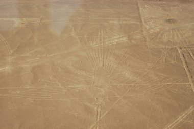 Nazca Çölü 'ndeki çizimler, Nazca çizgileri (Nazca çizgileri) - Peru. Yüksek kalite fotoğraf