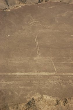 Nazca Çölü 'ndeki çizimler, Nazca çizgileri (Nazca çizgileri) - Peru. Yüksek kalite fotoğraf