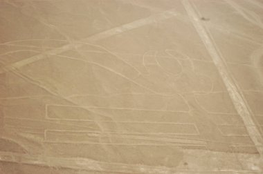 Nazca Çölü 'ndeki çizimler, Nazca çizgileri (Nazca çizgileri) - Peru. Yüksek kalite fotoğraf