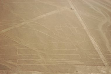 Nazca Çölü 'ndeki çizimler, Nazca çizgileri (Nazca çizgileri) - Peru. Yüksek kalite fotoğraf