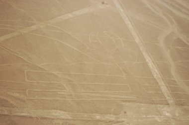Nazca Çölü 'ndeki çizimler, Nazca çizgileri (Nazca çizgileri) - Peru. Yüksek kalite fotoğraf